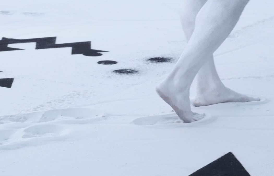 ATLAS des Partitions dansées